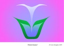 Flower Essence